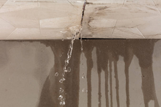 Professional Burst Pipe Cleanup technician working in Bush, LA
